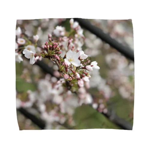 春の桜 Towel Handkerchief