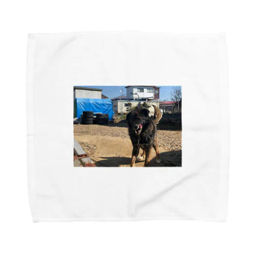 元気犬 Towel Handkerchief