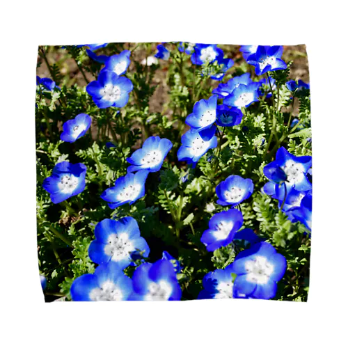 幸せの青い花 タオルハンカチ