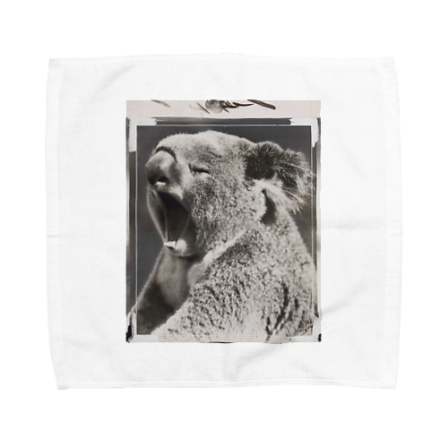 Yawning koala bear Towel Handkerchief