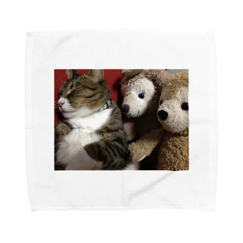 猫とクマ達 Towel Handkerchief