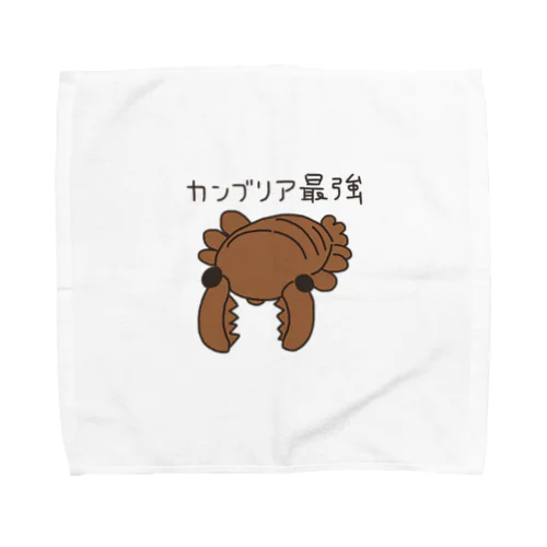 カンブリア最強生物 アノマロカリス Towel Handkerchief