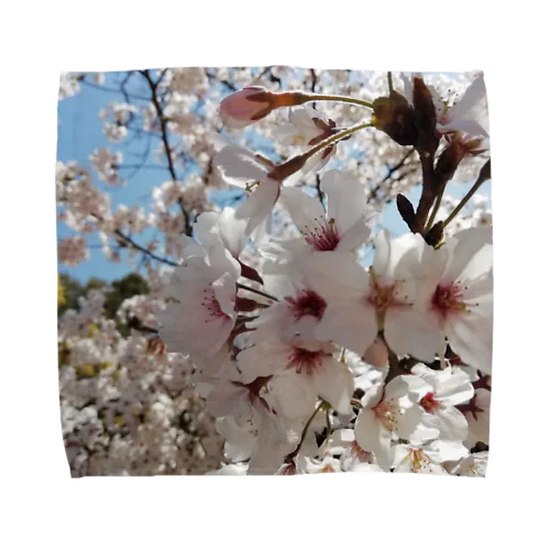 SAKURA Towel Handkerchief