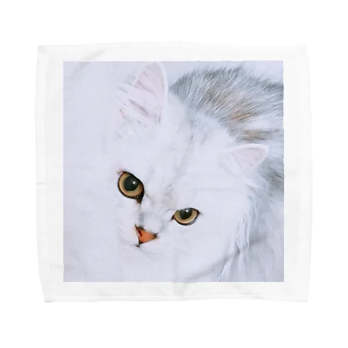 ねこのあんにん キリッver. Towel Handkerchief