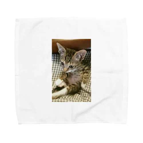 子猫シグレ Towel Handkerchief