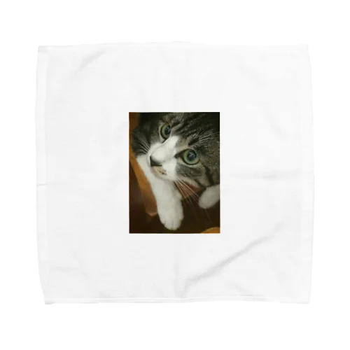 家のにゃんこ Towel Handkerchief