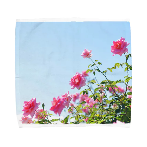 さわやか薔薇デー Towel Handkerchief