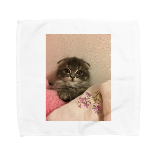 スコティッシュのとらくん Towel Handkerchief