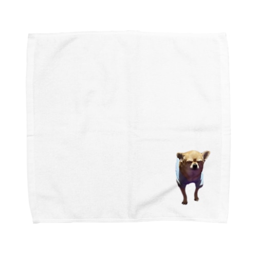 うちの犬のチワワ001 Towel Handkerchief