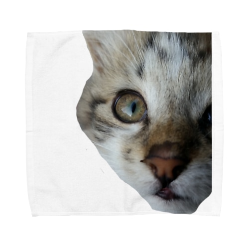 ★moko'★ Towel Handkerchief
