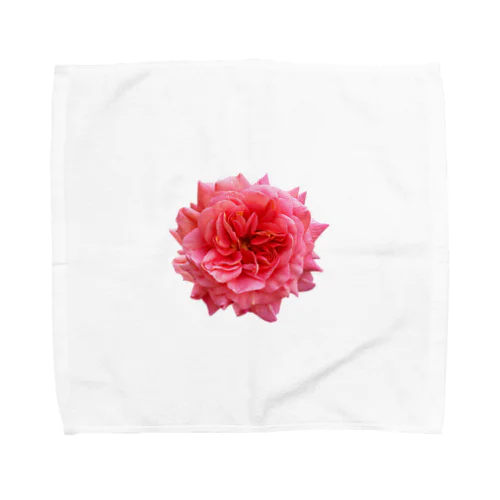 【キザにキマる】爛々と咲く濃いピンクの薔薇 Towel Handkerchief