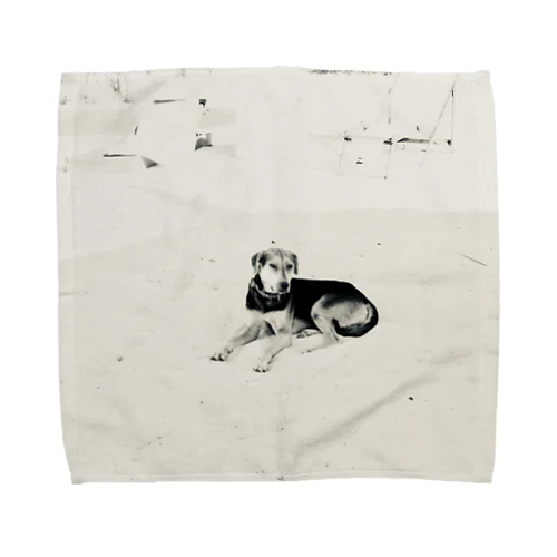 Cool Beach DOG Towel Handkerchief