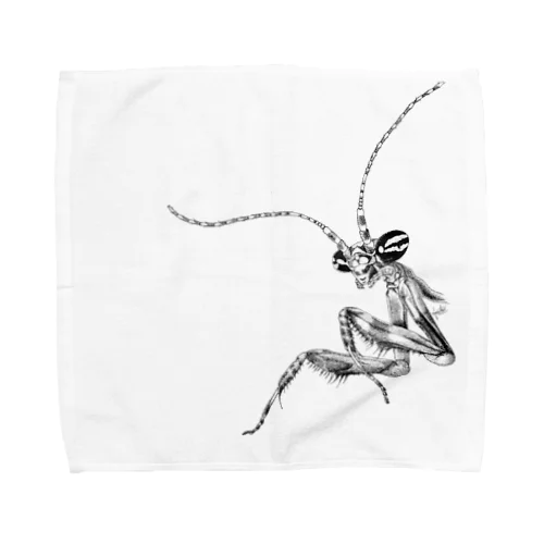 コカマキリ初齢幼虫 Towel Handkerchief