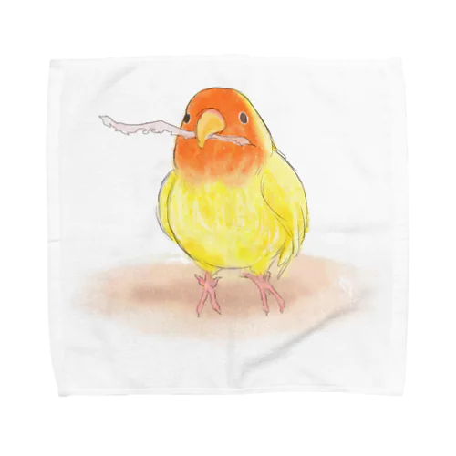 コザクラインコ　レイ【まめるりはことり】 Towel Handkerchief