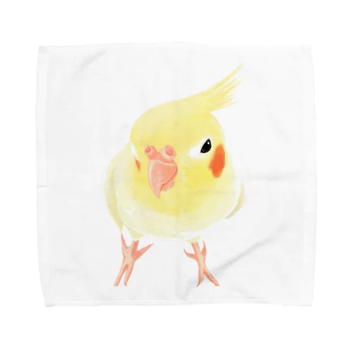 オカメインコ　おすましルチノー【まめるりはことり】 Towel Handkerchief