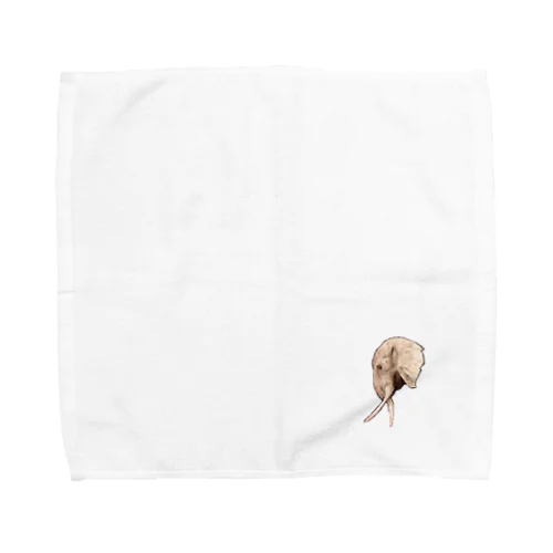 象 Towel Handkerchief