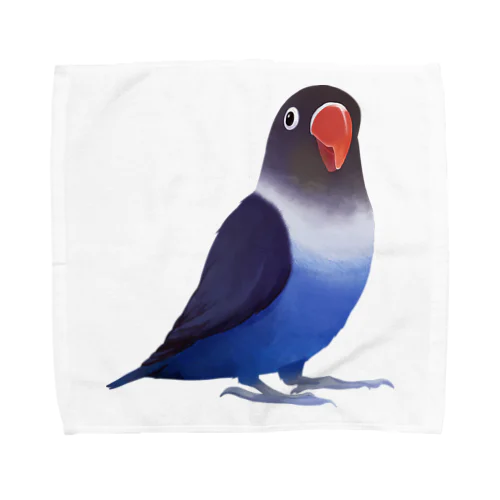 ボタンインコ　おすましコバルトブルー【まめるりはことり】 Towel Handkerchief