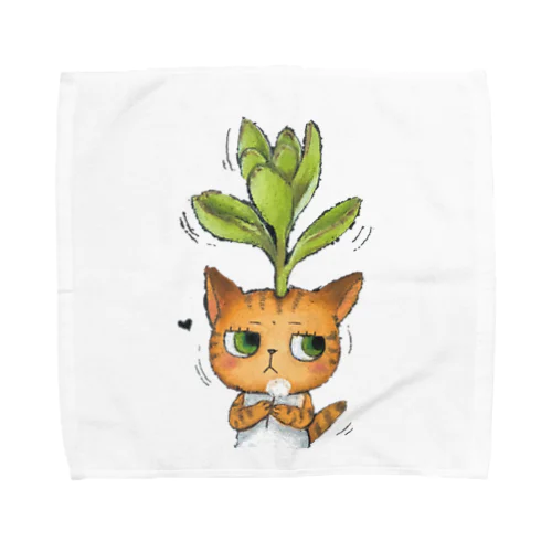 ちーちゃんシリーズ☆多肉植物 Towel Handkerchief