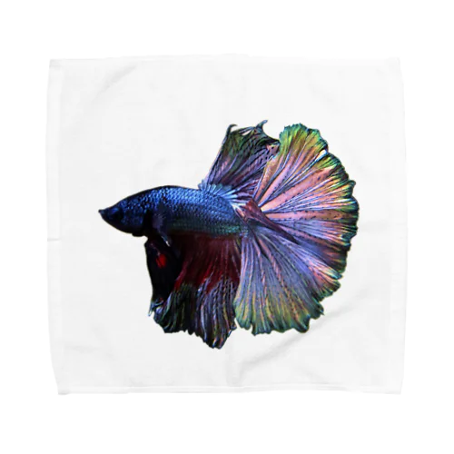 熱帯魚　ベタ Towel Handkerchief