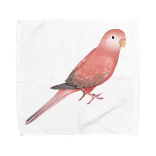 アキクサインコ　ピンク【まめるりはことり】 Towel Handkerchief