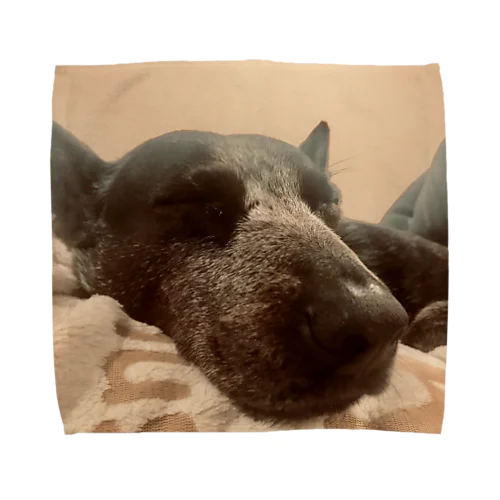 Sleepy dog  Towel Handkerchief