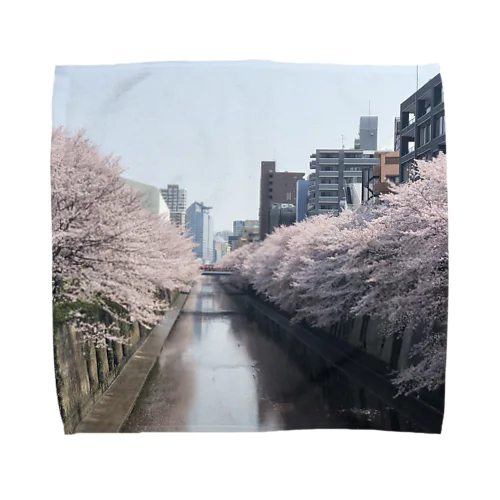 桜だよー Towel Handkerchief