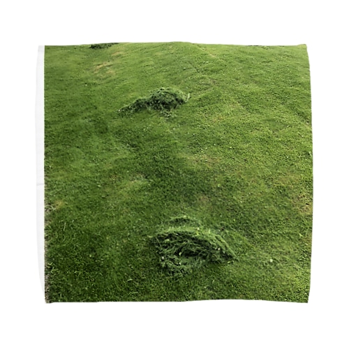 刈った芝生のタオルハンカチ Towel Handkerchief