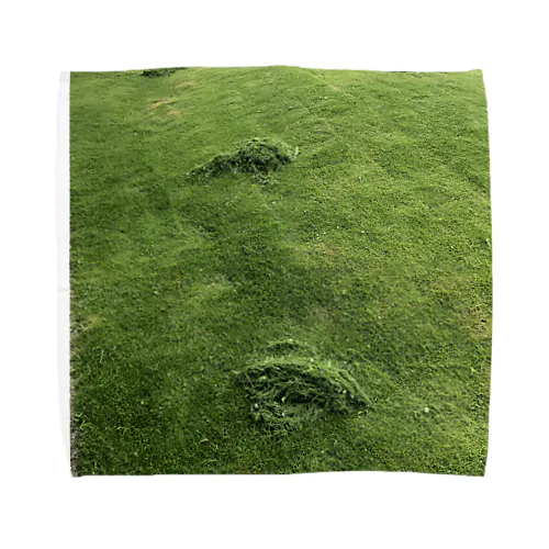 刈った芝生のタオルハンカチ タオルハンカチ