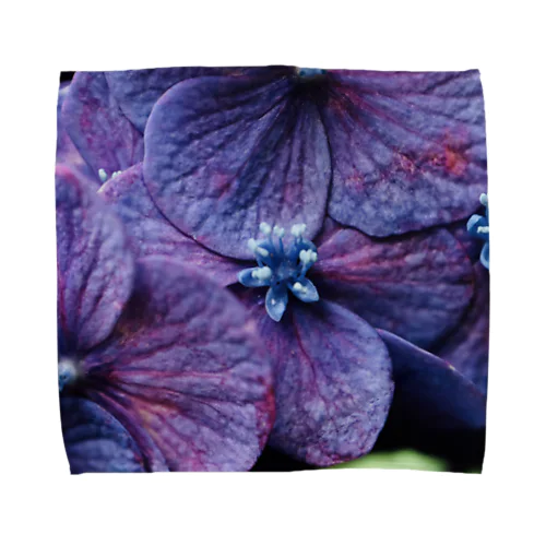 紫陽花　紫 Towel Handkerchief