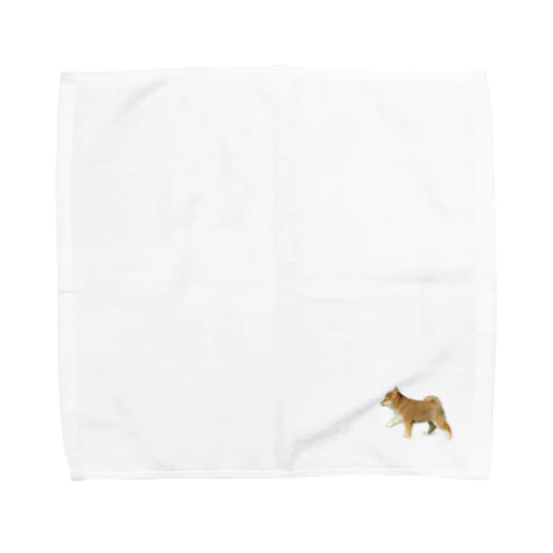 柴犬 かんたろうミニ Towel Handkerchief