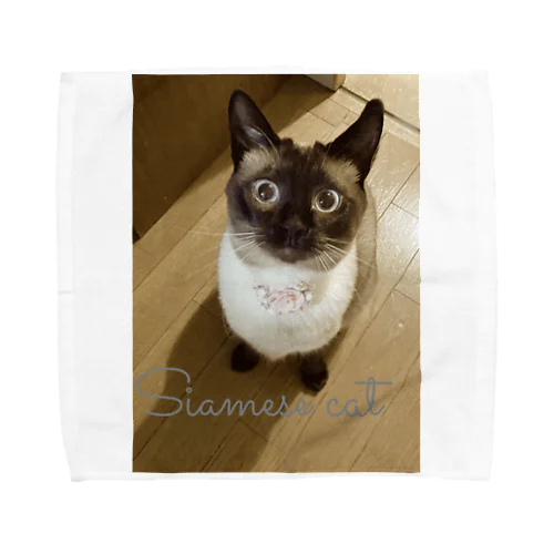 Siamese cat シャム猫 Towel Handkerchief