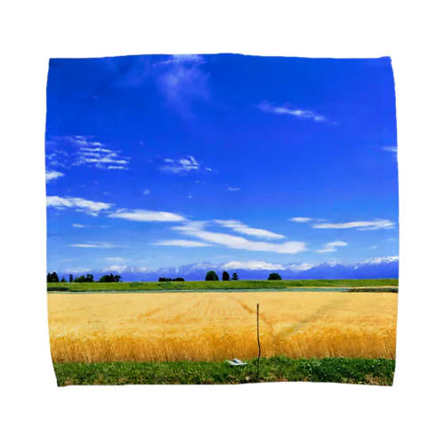 Wheat field Towel Handkerchief