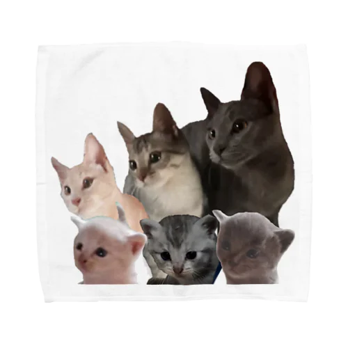 猫トリオ Towel Handkerchief