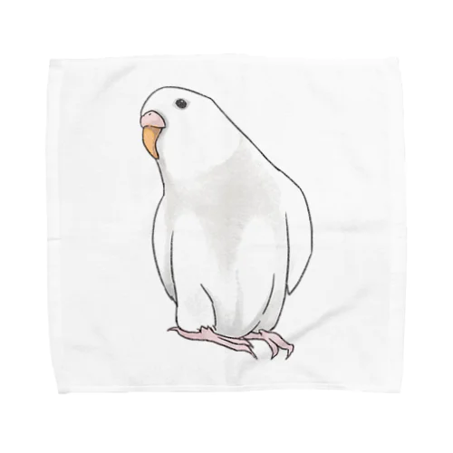 アルビノセキセイインコちゃん【まめるりはことり】 Towel Handkerchief