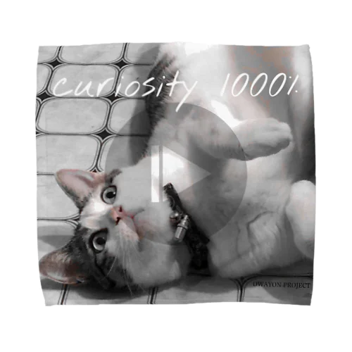 【1000％シリーズ　curiosity cat】 Towel Handkerchief