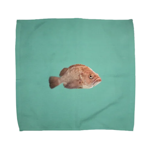 エゾメバル Towel Handkerchief