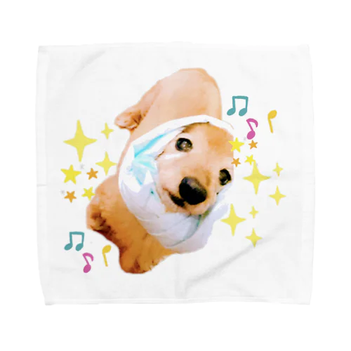 むーてぃー　ほっかむり Towel Handkerchief