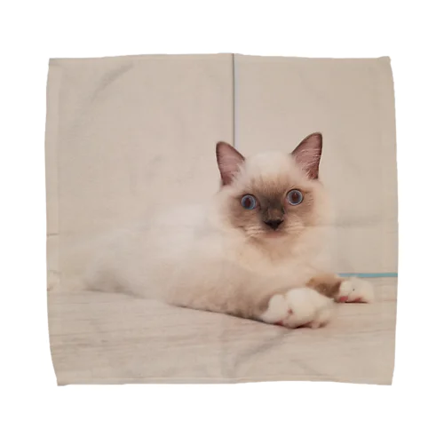 子猫もなか Towel Handkerchief