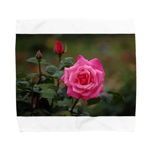 鹿児島の薔薇 Towel Handkerchief
