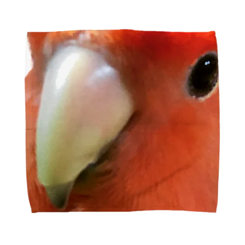 コザクラインコマイケル Towel Handkerchief