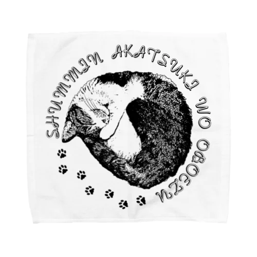 CAT_22_1_BL Towel Handkerchief