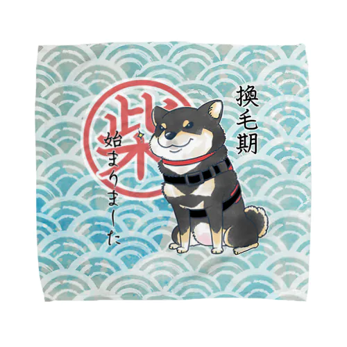 換毛期（黒柴） Towel Handkerchief