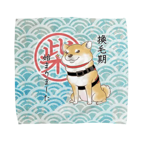 換毛期（赤柴） Towel Handkerchief