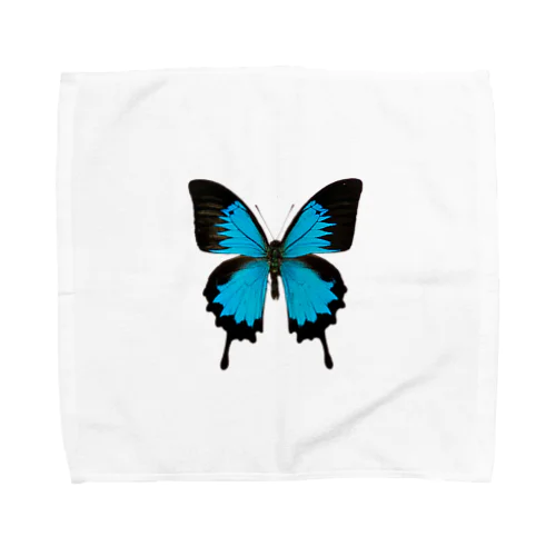 標本Tシャツ　モルフォチョウ Towel Handkerchief