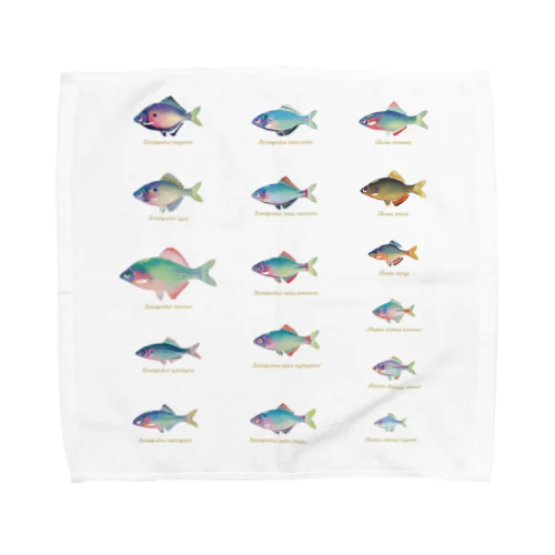 タナゴ Towel Handkerchief