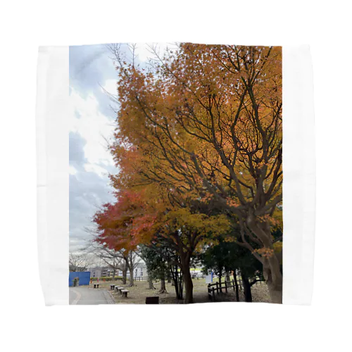 秋っぽさが残る12月part1 Towel Handkerchief