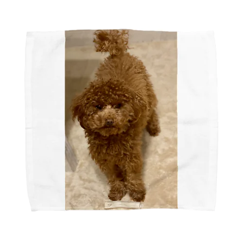 モジャ　モジャ男　 Towel Handkerchief