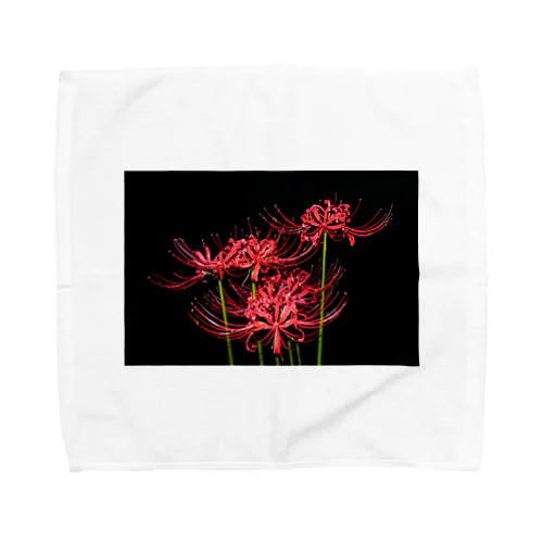 紅花 Towel Handkerchief