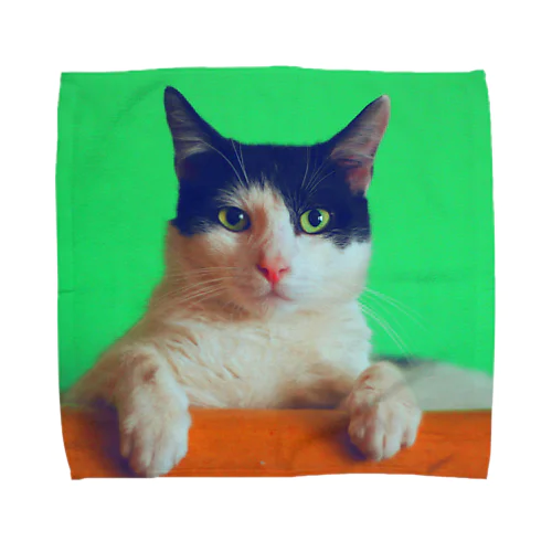 neko1 Towel Handkerchief