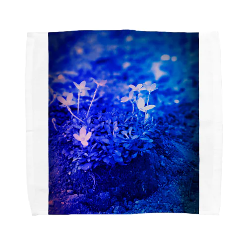 幸運の青い花💙💙💙 Towel Handkerchief